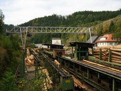 Hammerwerk im Frankenwald, Sägewerk