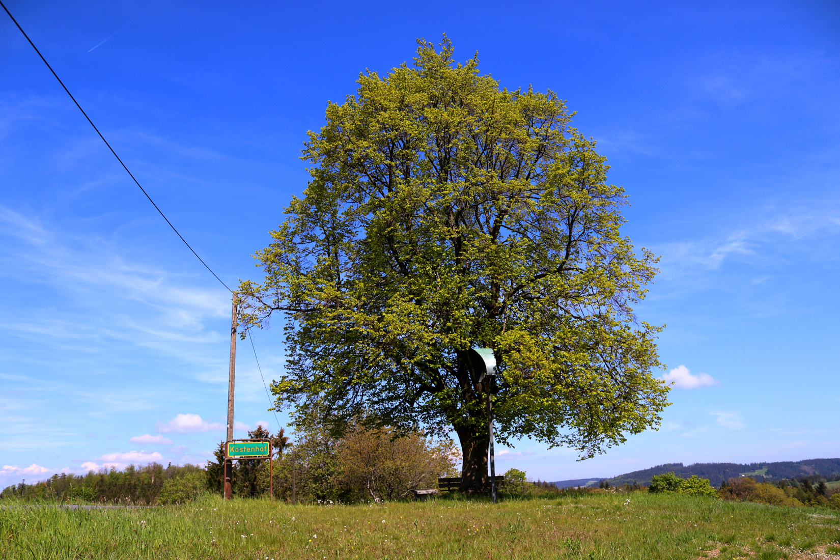 Köstenhof, Bild mit Ortschild und Baum